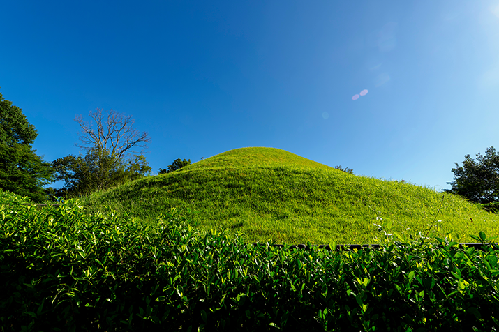 Timeless Asuka-mura Village: Ancient Tumuli and Rice Terrace