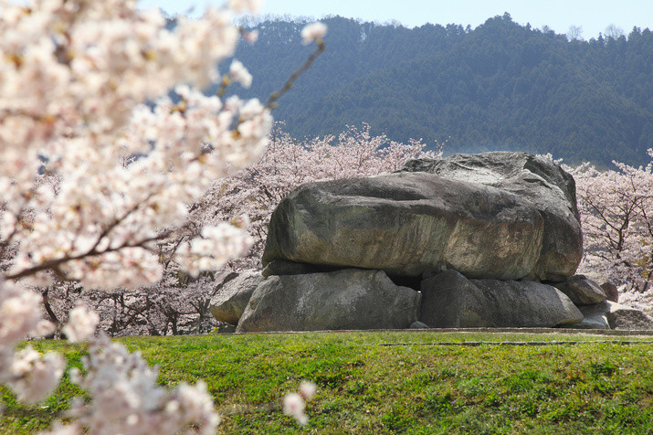 1-day Timeless Asuka-mura Village Tour: Ancient Tumuli and Rice Terrace
