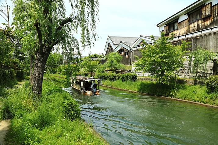 1-day Nara and Fushimi Tour: Ancient Capital Heritage, Sake Brewery, and Torii Gates