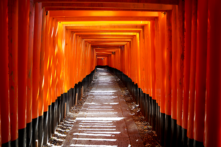 1-day Nara and Fushimi Tour: Ancient Capital Heritage, Sake Brewery, and Torii Gates