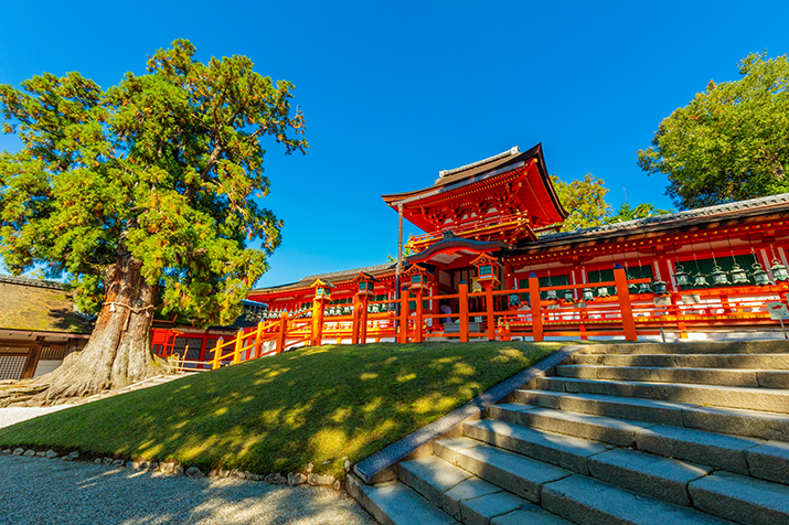 1-day Nara and Fushimi Tour: Ancient Capital Heritage, Sake Brewery, and Torii Gates