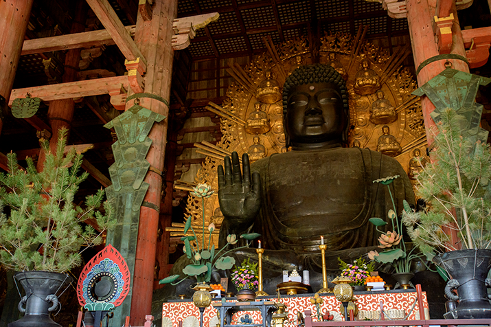 1-day Nara and Fushimi Tour: Ancient Capital Heritage, Sake Brewery, and Torii Gates