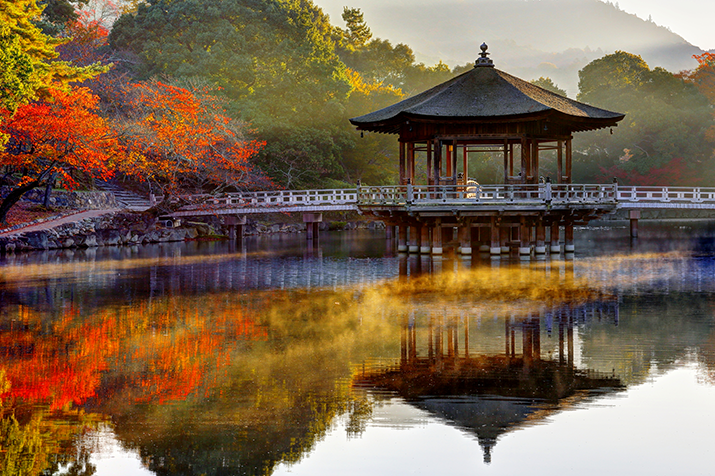 Enchanting Nara: Dancing Leaves of Autumn from Kyoto