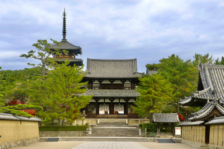 Morning Ancient Nara Tour: Journey to Millenium-long Legacy Temple