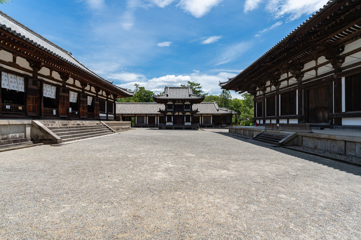 Half-day (AM) Western Nara Tour: World Heritage Temples and Former Capital Site