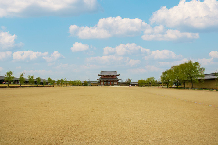 Half-day (AM) Western Nara Tour: World Heritage Temples and Former Capital Site
