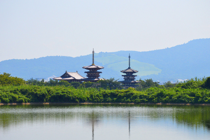 Half-day (AM) Western Nara Tour: World Heritage Temples and Former Capital Site