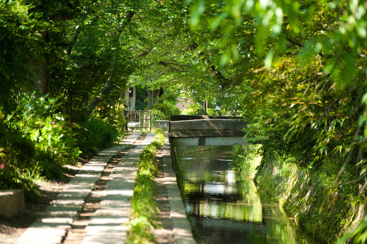 1-day Kyoto Tour: Philosopher’s Path and Picturesque Temples