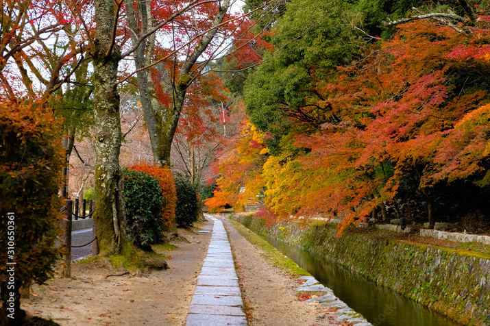 1-day Kyoto Tour: Philosopher’s Path and Picturesque Temples