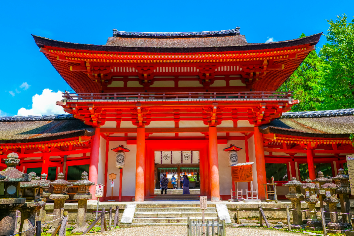 3/20 - 11/30 Only! Morning Nara Hiking Tour: Unveiling Kasuga Taisha and Mt. Wakakusa Hike