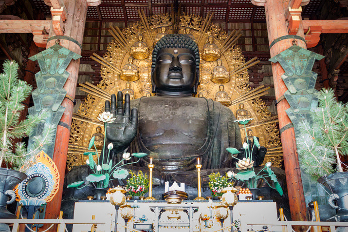 Half-day (AM) Nara Tour: World Heritage Temples and Sacred Deer