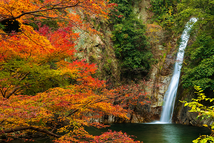 Crimson Splendor: A Blissful Kobe Autumn Foliage Expedition