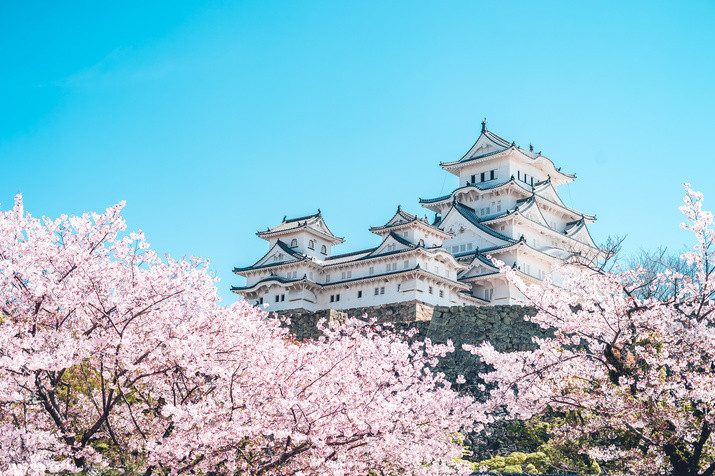 1-day Himeji Tour: World Heritage Castle and The Last Samurai Temple