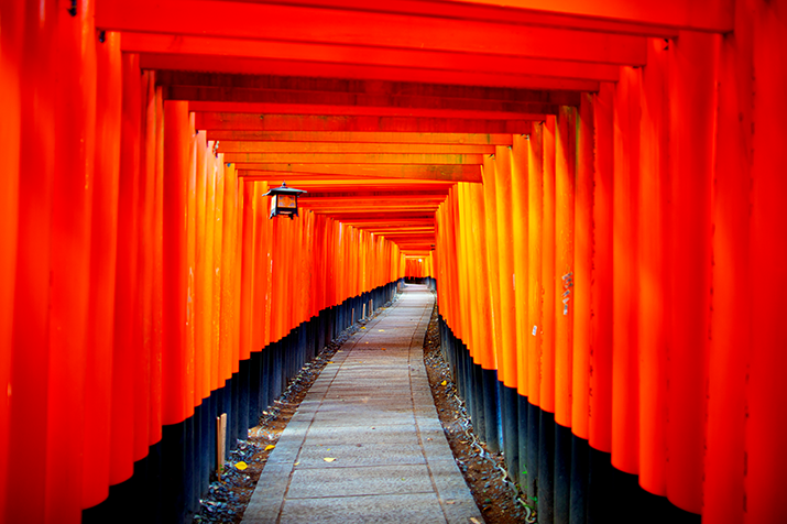 1-day Kyoto Highlights Tour: Temple, Castle, Market and Shrine