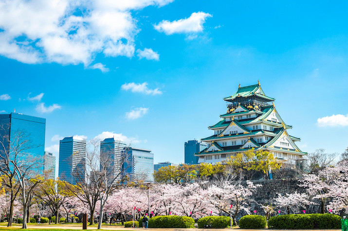 Osaka Exciting Spring Tour: Unveiling Iconic Sights from Skyline to Castle Keep