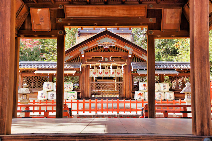 Morning Kyoto Cherry Blossom Tour: Locals' Hidden Gems