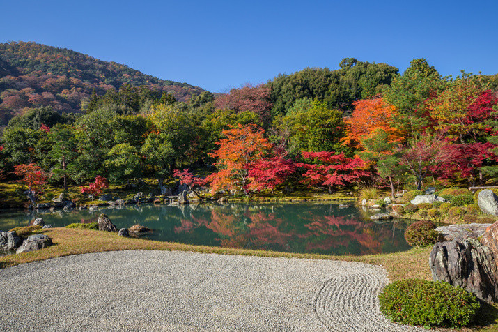 1-day Western Kyoto Tour: World Heritage Sites and Bamboo Forest