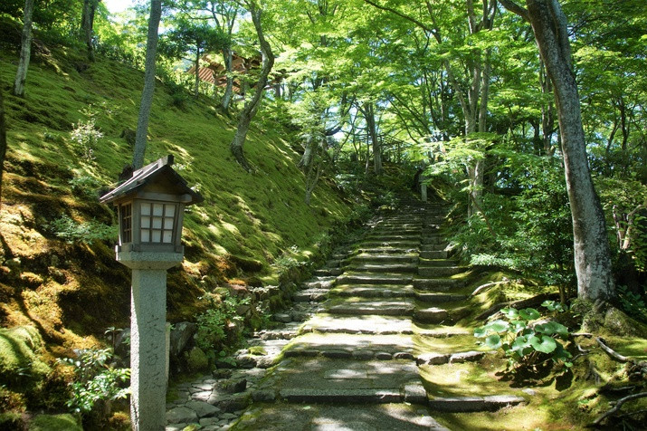 1-day Western Kyoto Tour: World Heritage Sites and Bamboo Forest