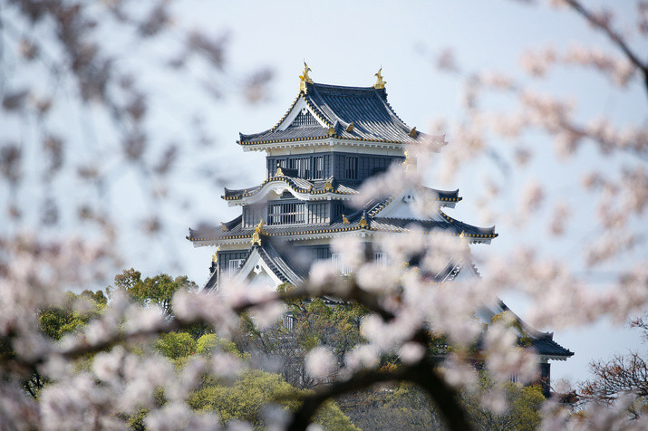 1-day Okayama Tour: Castle, Garden, and Historical Quarter