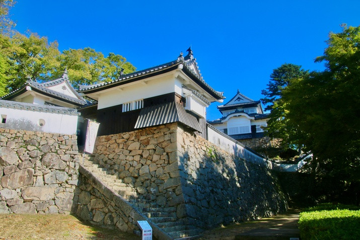 Afternoon Okayama Tour: Castle and Garden