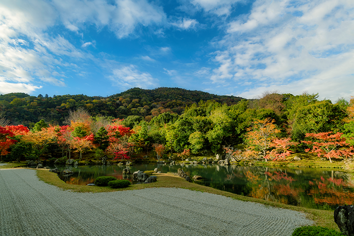 Autumn Magic of Kyoto: A Captivating 1-Day Foliage Extravaganza