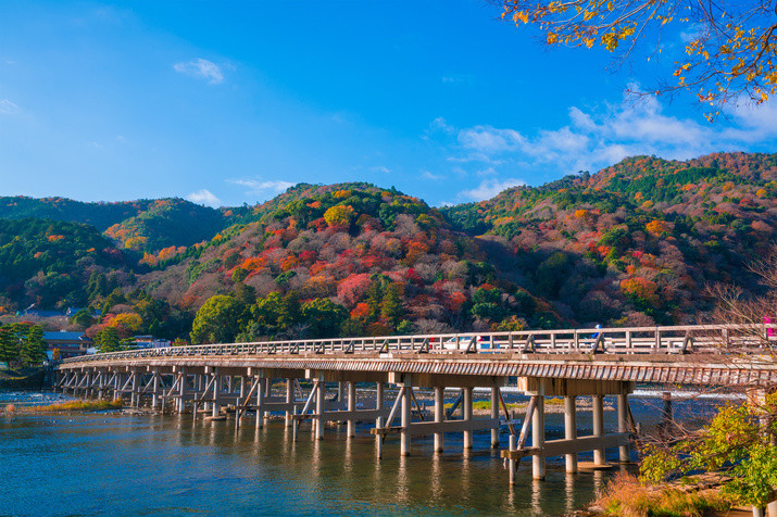 1-day Western Kyoto Tour (from Osaka): World Heritage Sites and Bamboo Forest