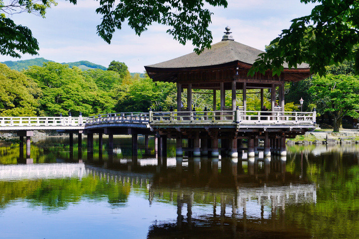 Nara Morning Tour: Kasuga Taisha Shrine, Whispering Path, and Ukimi-do Hall