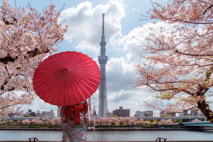 1-day Tokyo Highlight Tour: SKYTREE, Imperial Palace, Temple, Shrine, and Shibuya