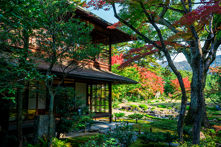 Beautiful Temples and Gardens: Kyoto Highlights Tour