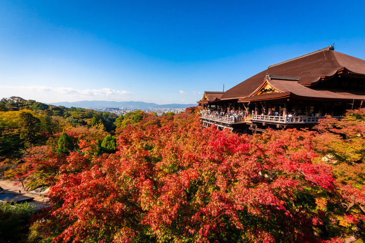 1-day Eastern Kyoto Tour: Temples, Gardens, World Heritage Site