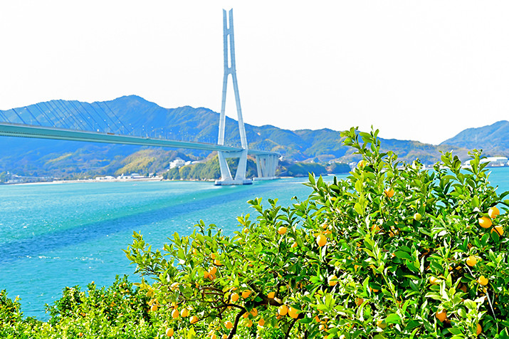 Ikuchijima 1-Day Tour - Art, Nature & Island Charm (from Hiroshima)